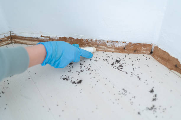 Best Pest Control for Multi-Family Homes  in Nth Bend, OR